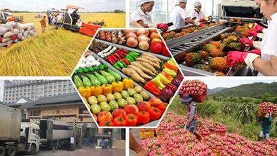 Gia tăng các sản phẩm nông nghiệp kỳ vọng đạt trên 4%