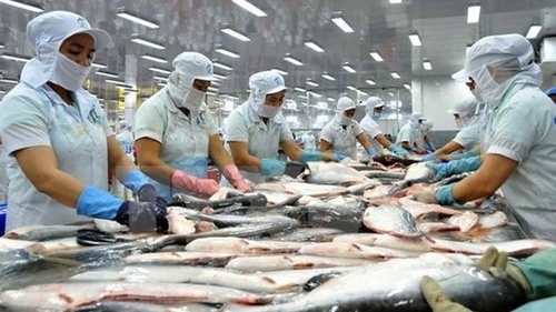 Chìa khóa để doanh nghiệp thủy sản Việt Nam chinh phục thị trường Nam Mỹ