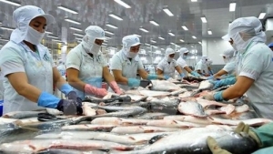 Chìa khóa để doanh nghiệp thủy sản Việt Nam chinh phục thị trường Nam Mỹ