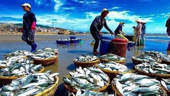 Đa dạng hóa đối tượng nuôi thủy sản để tạo đột phá