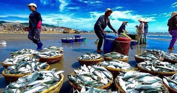 Đa dạng hóa đối tượng nuôi thủy sản để tạo đột phá