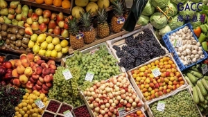 Bộ Công Thương cảnh báo 1 doanh nghiệp trái cây Trung Quốc đang bị điều tra