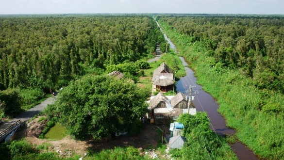 Xem xét luật hoá tín chỉ carbon là tài sản đảm bảo