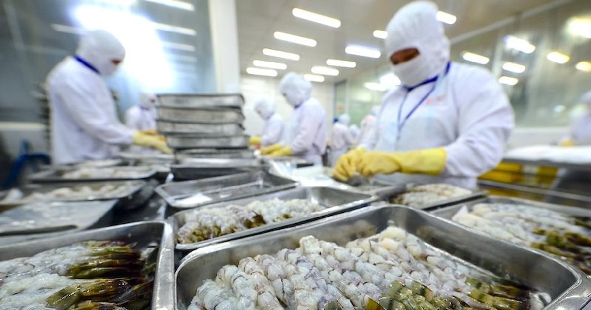 Từ “thẻ vàng” đến “thẻ xanh”: Cơ hội tái định vị ngành thủy sản