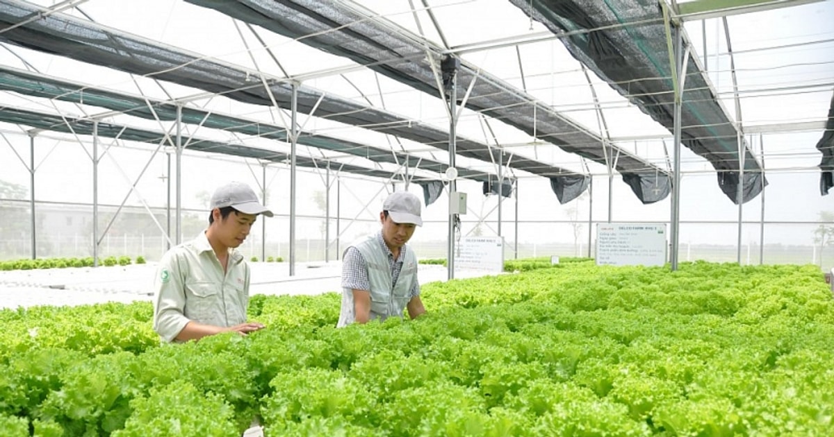 Triển vọng lạc quan hơn, doanh nghiệp thành lập mới tăng Triển vọng lạc quan hơn, doanh nghiệp thành lập mới tăng