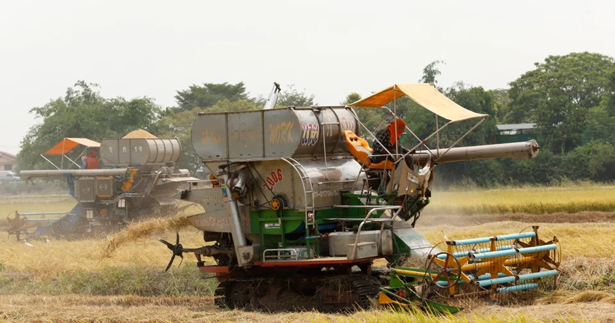 Nguy cơ thiếu hụt lương thực ở Đông Nam Á