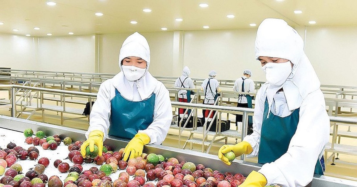 Doanh nghiệp rau quả tận dụng “cửa sáng”