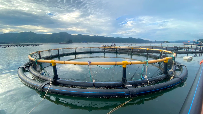 Công nghệ mở “cú hích” mới cho thủy sản Việt