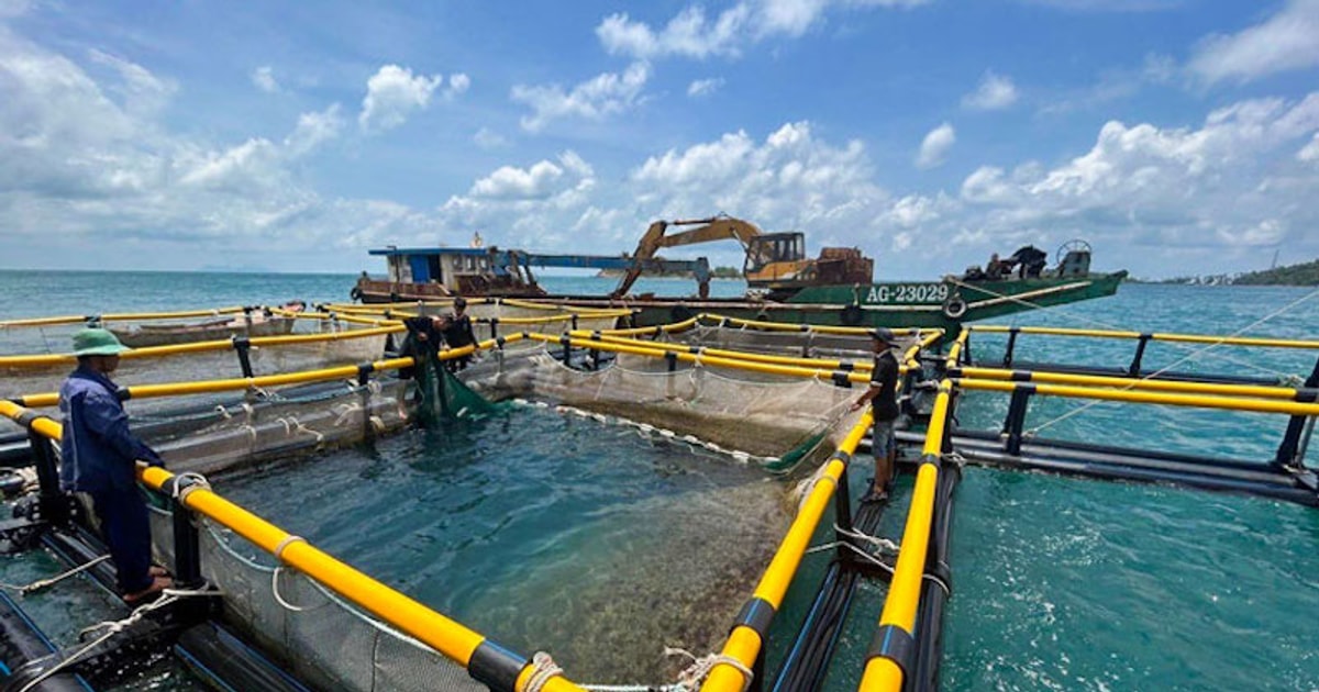 Công nghệ mở “cú hích” mới cho thủy sản Việt