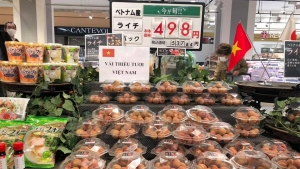 Doanh nghiệp Việt kiều là cầu nối quan trọng giúp hàng Việt vươn tầm quốc tế