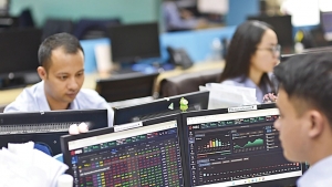 Linh hoạt phân bổ danh mục đầu tư cổ phiếu