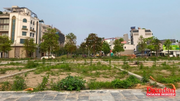 Định giá đất ở các địa phương gặp khó