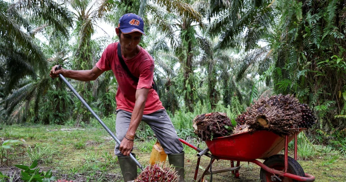 ASEAN thúc đẩy sản xuất nhiên liệu sinh học