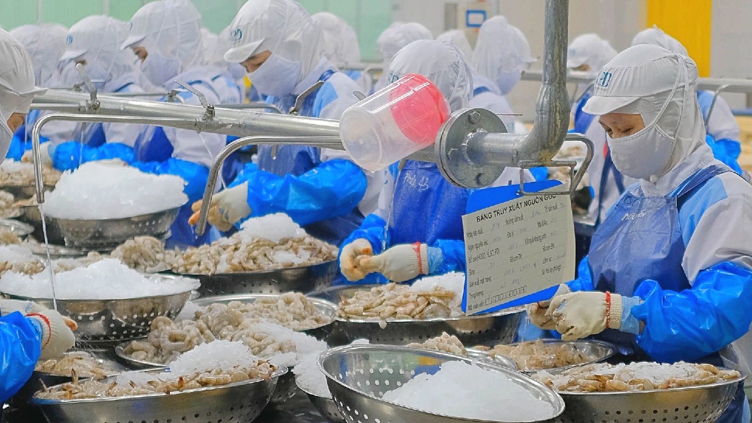 Thủy sản Việt Nam kỳ vọng vượt mốc 12 tỷ USD