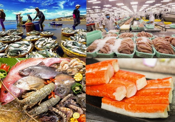 Thủy sản Việt Nam kỳ vọng vượt mốc 12 tỷ USD