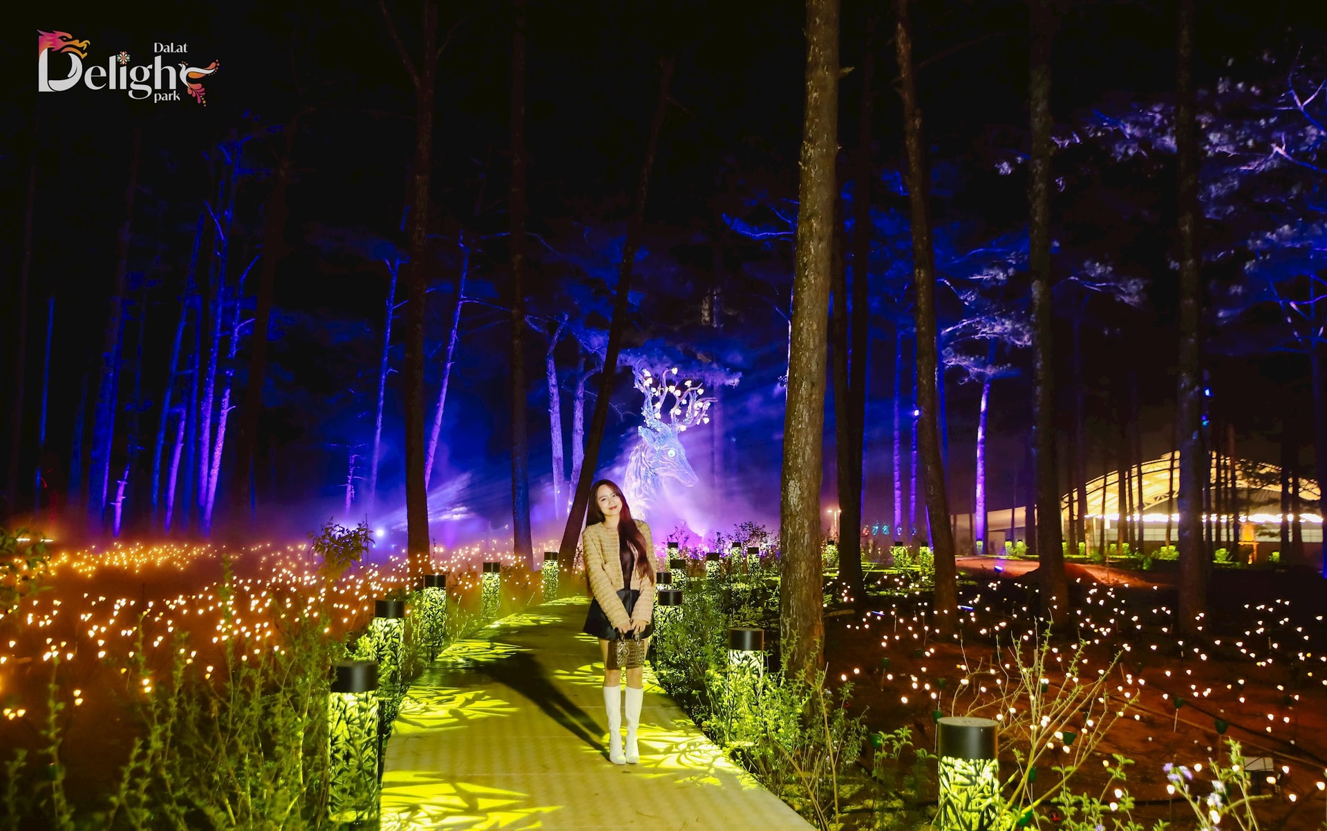 Delight Park: Thiên đường âm thanh, ánh sáng giữa lòng Đà Lạt Delight Park: Thiên đường âm thanh, ánh sáng giữa lòng Đà Lạt