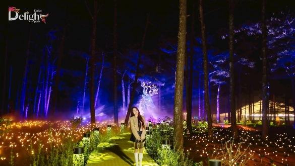 Delight Park: Thiên đường âm thanh, ánh sáng giữa lòng Đà Lạt
