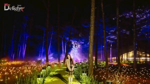 Delight Park: Thiên đường âm thanh, ánh sáng giữa lòng Đà Lạt