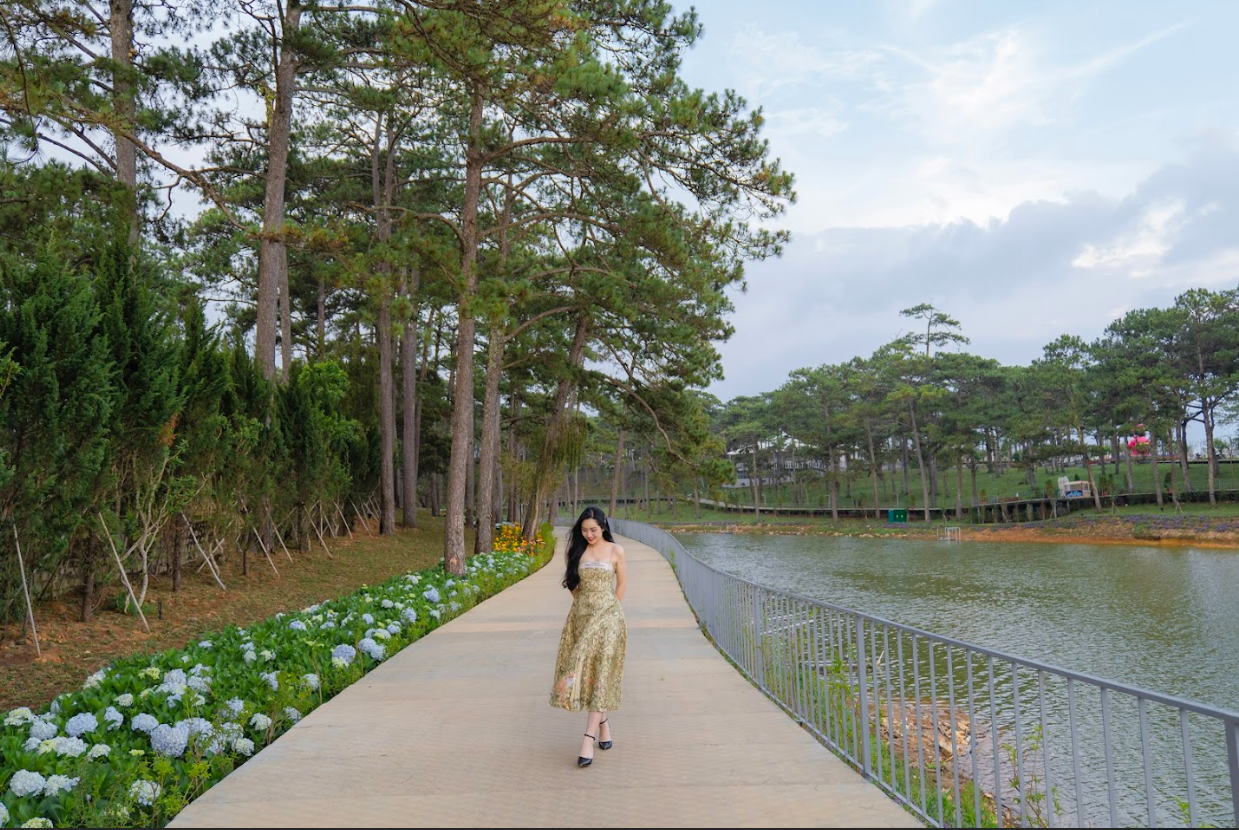 Delight Park: Thiên đường âm thanh, ánh sáng giữa lòng Đà Lạt Delight Park: Thiên đường âm thanh, ánh sáng giữa lòng Đà Lạt