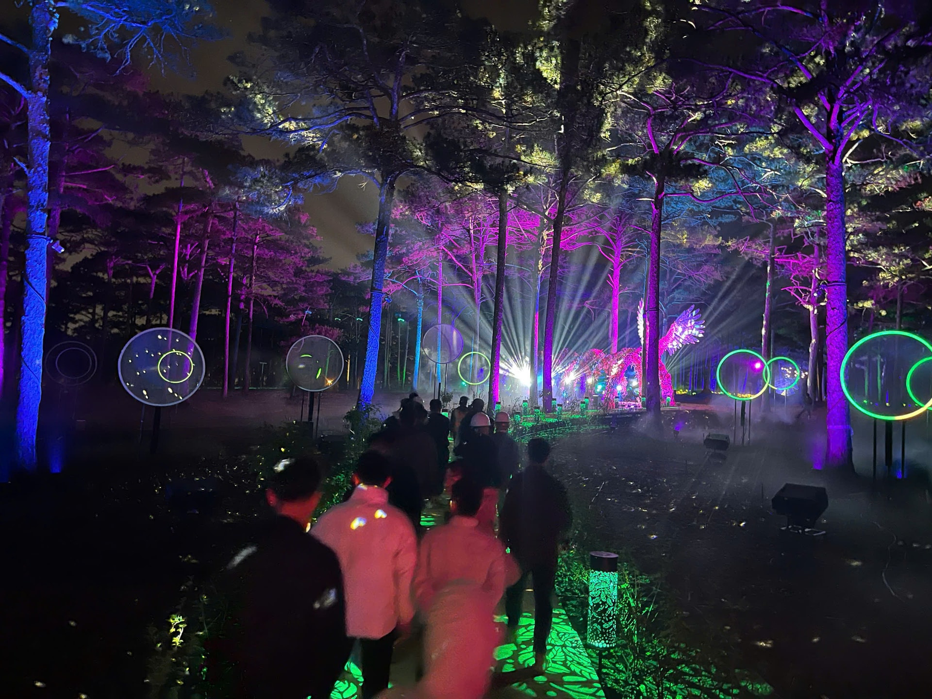 Delight Park: Thiên đường âm thanh, ánh sáng giữa lòng Đà Lạt Delight Park: Thiên đường âm thanh, ánh sáng giữa lòng Đà Lạt