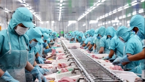 Tác động từ thuế quan, rủi ro thương mại khiến xuất khẩu thủy sản tăng chậm lại
