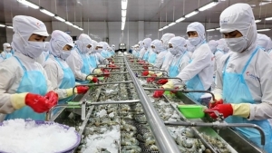 Tham vọng nghìn tỷ của “Vua tôm” Minh Phú