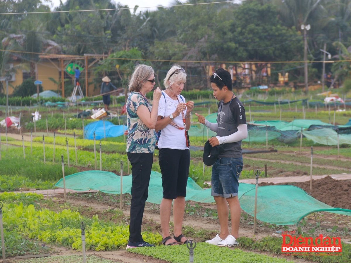 Nhiều thách thức trong phát triển du lịch xanh tại Quảng Nam