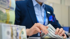 Nợ xấu hình thành ròng tăng mạnh, tập trung cao ở một số ngân hàng