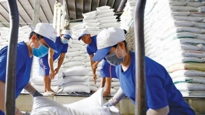 Xuất khẩu gạo: Cơ hội vàng không dành cho “tay mơ”