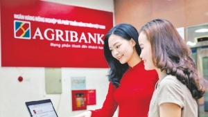 Khơi thông nguồn lực hơn nữa cho lĩnh vực nông nghiệp nông thôn