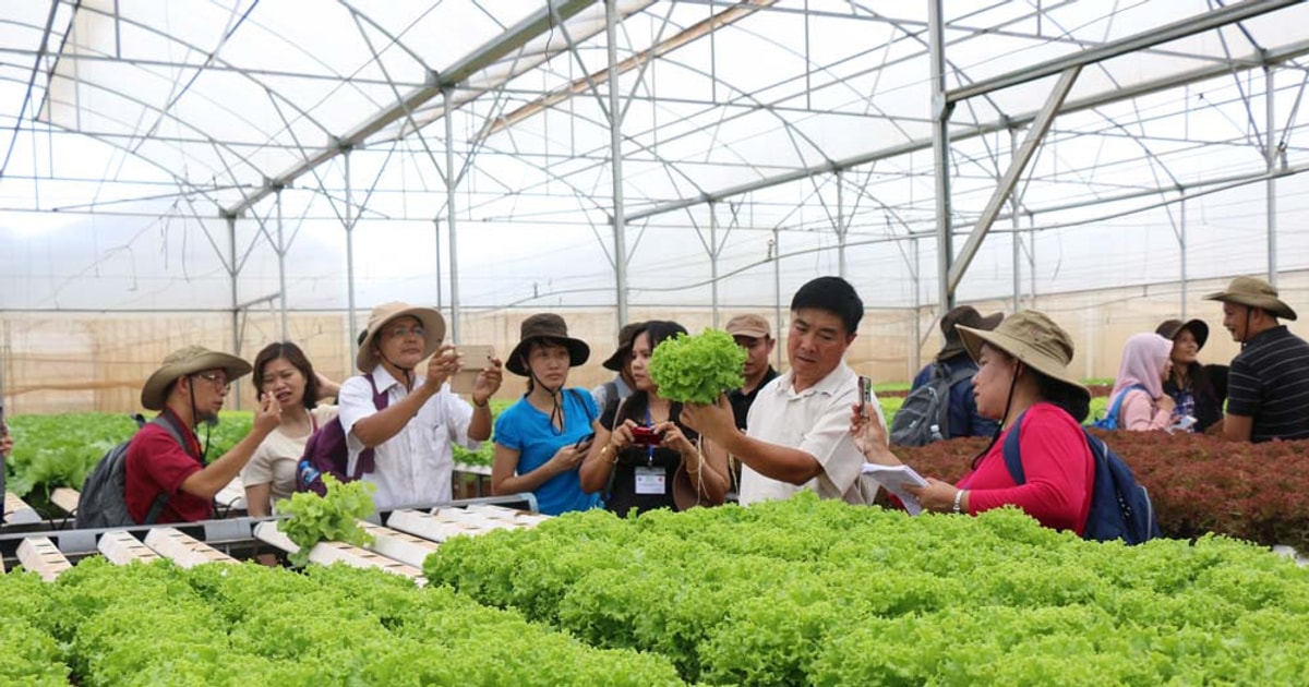 Tăng hạn mức tín chấp hỗ trợ khu vực kinh tế năng động