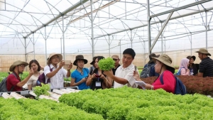 Tăng hạn mức tín chấp hỗ trợ khu vực kinh tế năng động