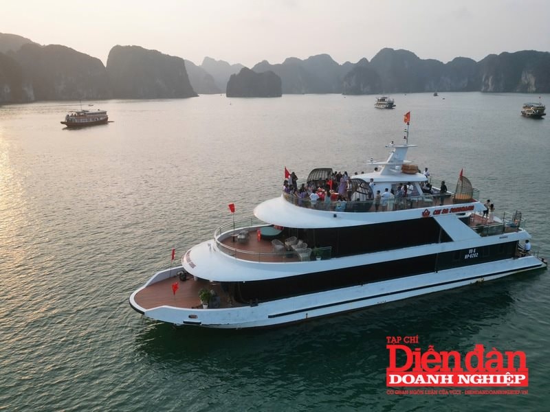 Cát Bà “tăng tốc trên đường đua” đón khách