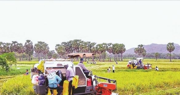 “Chìa khóa” thúc đẩy các Chương trình mục tiêu quốc gia