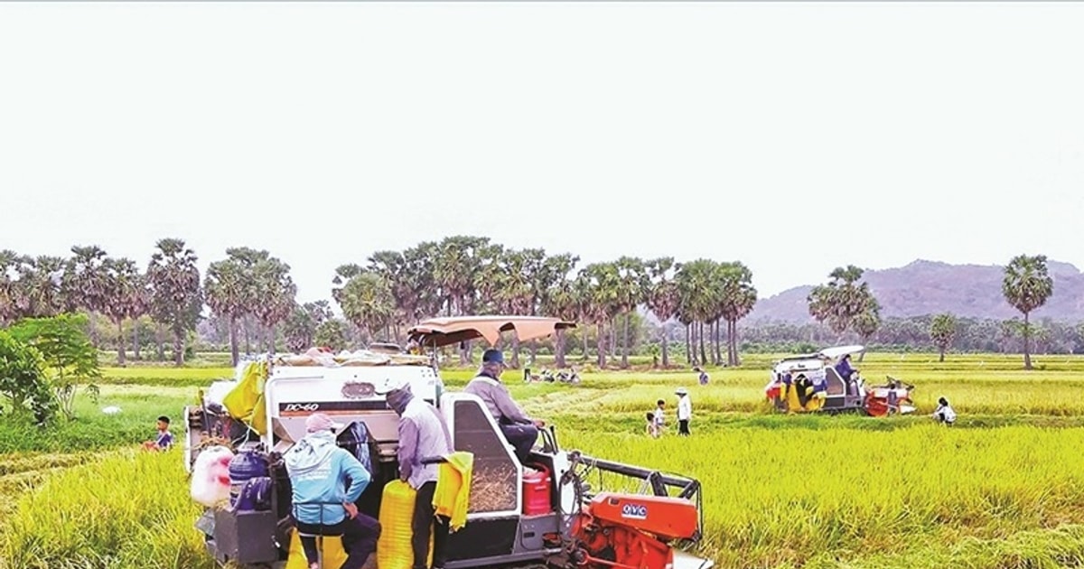“Chìa khóa” thúc đẩy các Chương trình mục tiêu quốc gia