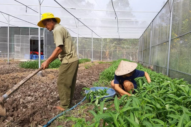 “Chìa khóa” thúc đẩy các Chương trình mục tiêu quốc gia