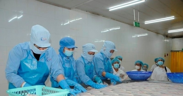 Xuất khẩu thủy sản 2026: Cơ hội và áp lực trong chặng nước rút