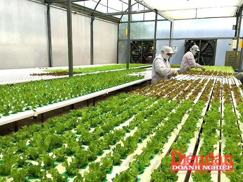Đòn bẩy từ công nghệ nông nghiệp cho Đông Nam Á Đòn bẩy từ công nghệ nông nghiệp cho Đông Nam Á