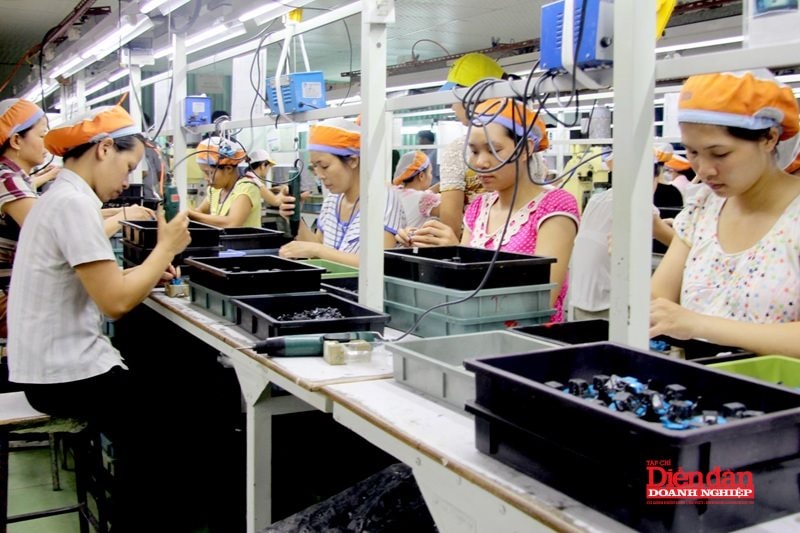 Văn hóa doanh nghiệp – sức mạnh kiến tạo những doanh nghiệp trường tồn