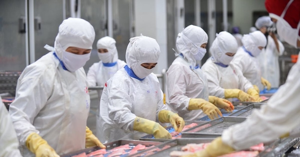 "Chìa khóa" giúp doanh nghiệp thuỷ sản duy trì đơn hàng "Chìa khóa" giúp doanh nghiệp thuỷ sản duy trì đơn hàng