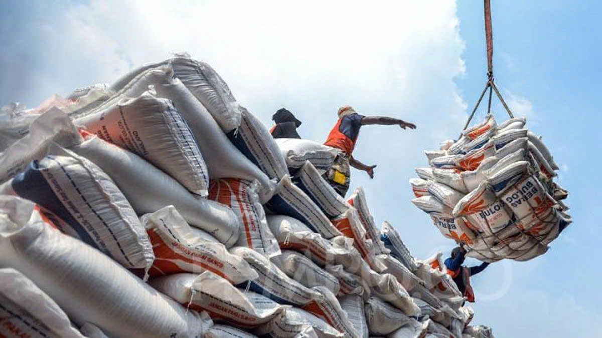 Xuất khẩu gạo đứng trước cơ hội mở rộng thị phần khi nhu cầu thế giới gia tăng