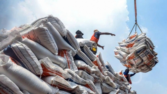 Xuất khẩu gạo đứng trước cơ hội mở rộng thị phần khi nhu cầu thế giới gia tăng