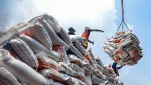 Xuất khẩu gạo đứng trước cơ hội mở rộng thị phần khi nhu cầu thế giới gia tăng