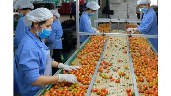 Ba nhóm giải pháp "về đích" mục tiêu xuất khẩu 65 tỷ USD nông sản