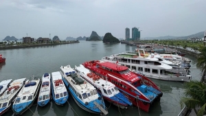 Du lịch mùa bão: Cần kịch bản không chỉ trên giấy