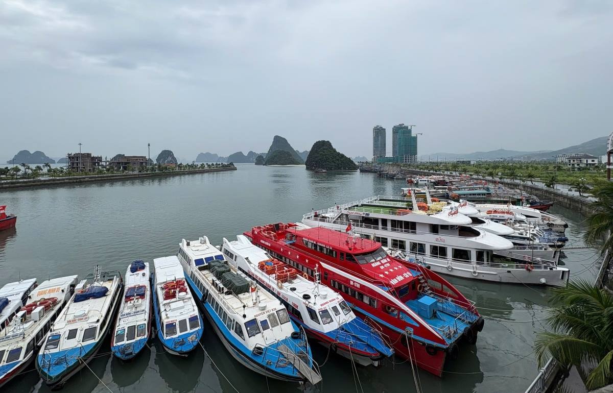 Du lịch mùa bão: Cần kịch bản không chỉ trên giấy Du lịch mùa bão: Cần kịch bản không chỉ trên giấy