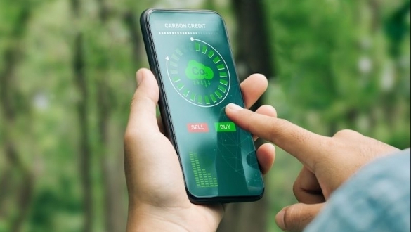 Đâu là điểm nghẽn lớn nhất của thị trường tín chỉ carbon?