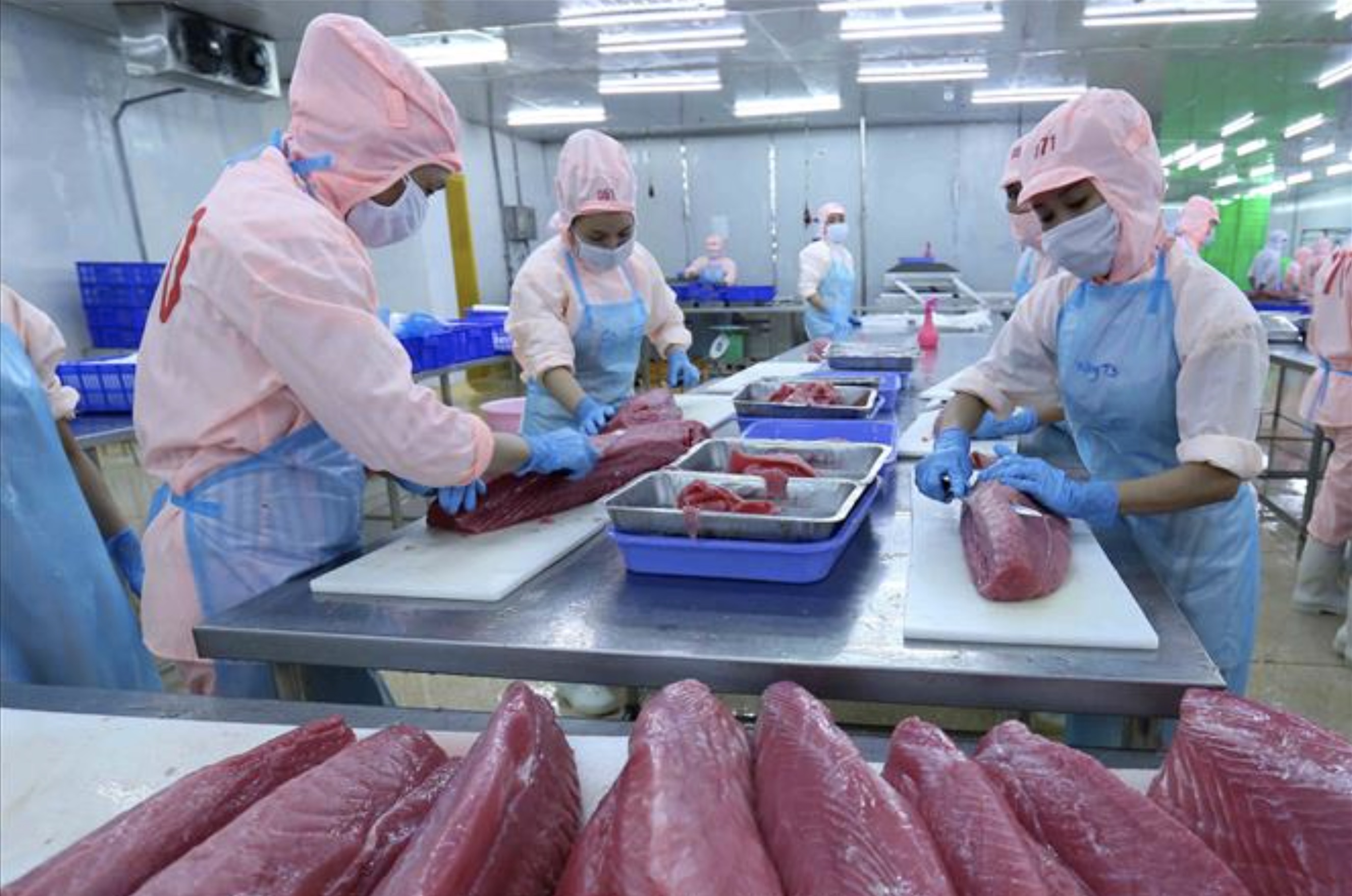CPTPP thúc đẩy kết nối thương mại và đầu tư trong giai đoạn mới CPTPP thúc đẩy kết nối thương mại và đầu tư trong giai đoạn mới