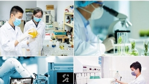 Chuyển dịch đầu tư tư nhân vào lĩnh vực giá trị gia tăng cao hơn