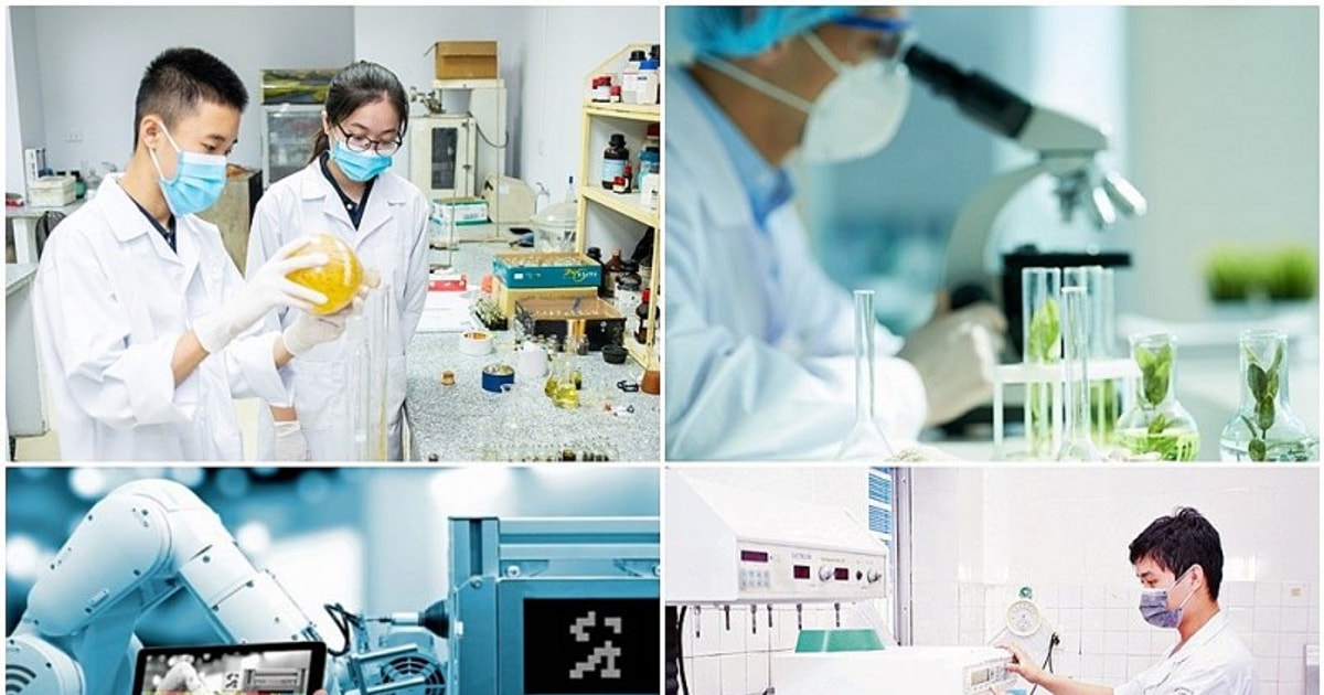 Chuyển dịch đầu tư tư nhân vào lĩnh vực giá trị gia tăng cao hơn